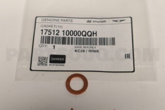 1751210000 GASKET(10)