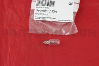 1864305009L SOCKET-BULB