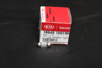 1864510019N BULB
