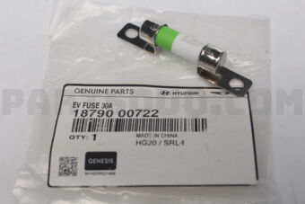 1879000722 EV FUSE 30A