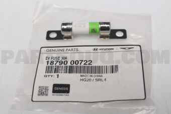 1879000722 EV FUSE 30A