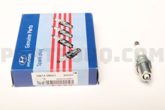 1881408051 PLUG ASSY-SPARK