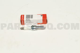1884310063 PLUGASSY-SPARK