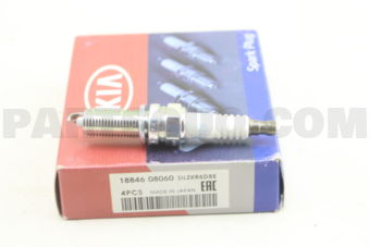 1884608060 PLUG ASSY-SPARK
