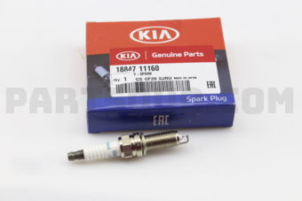 1884711160 PLUG ASSY-SPARK