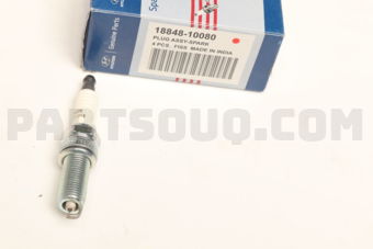 1884810080 PLUG ASSY-SPARK