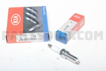 1884908080 PLUG ASSY-SPARK