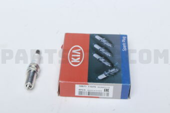 1887111075 PLUG ASSY-SPARK