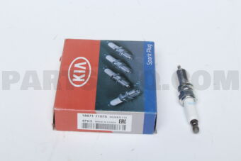 1887111075 PLUG ASSY-SPARK