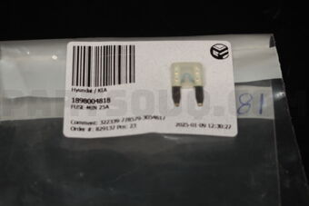 1898004818 FUSE-MIN 25A