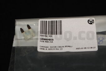 1898004818 FUSE-MIN 25A