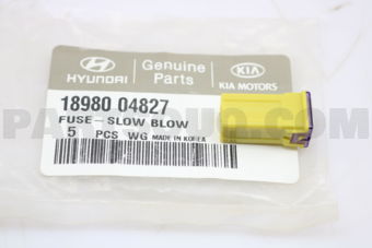 1898004827 FUSE-SLOW BLOW
