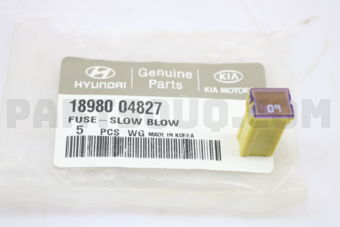1898004827 FUSE-SLOW BLOW
