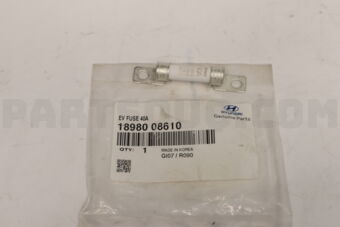 1898008610 EV FUSE 40A