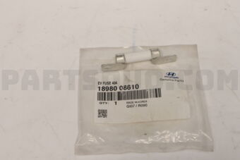1898008610 EV FUSE 40A