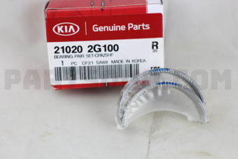 210202G100 BEARING PAIR SET-CRK