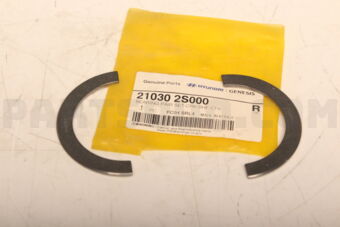 210302S000 BEARING PAIR SET-CRK