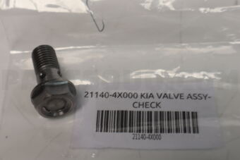 211404X000 VALVE ASSY-CHECK