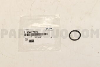 213562E021 O-RING