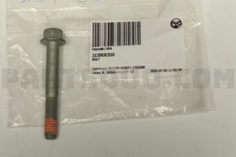 213593C510 BOLT