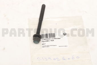 213902G060 BOLT