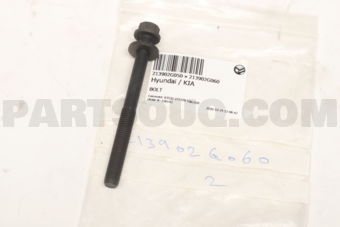 213902G060 BOLT