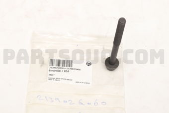 213902G060 BOLT