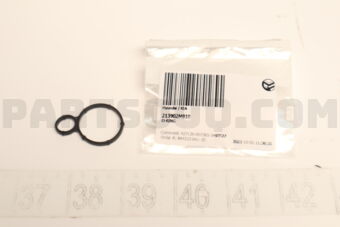 213902M810 O-RING