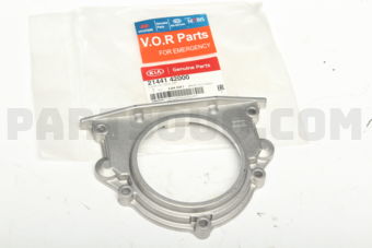 2144142000 CASE-OIL SEAL RR