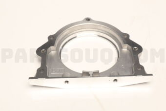 2144142010 CASE-OIL SEAL RR