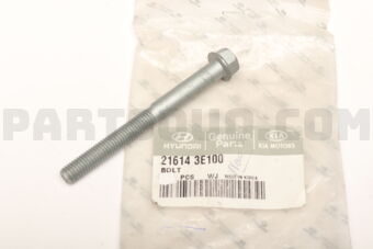 216143E100 BOLT