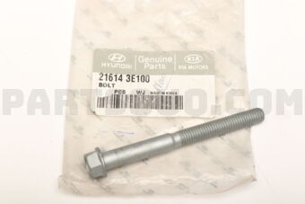 216143E100 BOLT