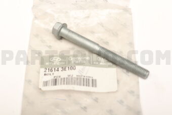 216143E100 BOLT
