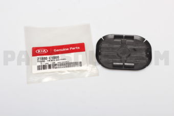 21880C1000 PACKING-T/M MTG SIDE PANEL