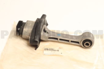 219502T000 BRKT ASSY-ROLL ROD