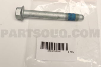 219913R000 BOLT