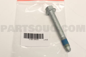 219913R000 BOLT