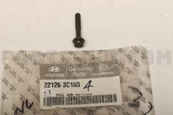 221263C100 BOLT