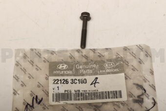 221263C100 BOLT