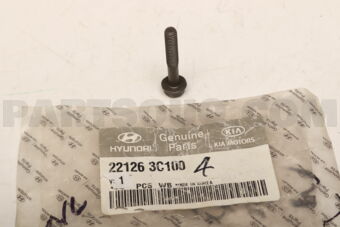 221263C100 BOLT