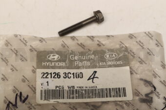 221263C100 BOLT