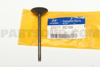 222113C100 VALVE-INTAKE