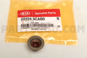 222243CAB0 SEAL-VALVE STEM