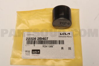 222262B407 TAPPET