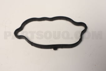 224433CGA0 GASKET