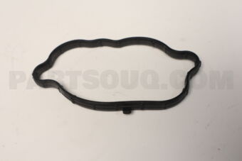 224433CGA0 GASKET