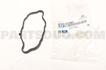 224433CGB0 GASKET