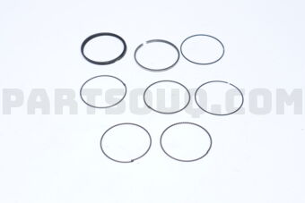 2304003223 RING SET-PISTON