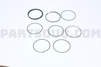 2304003223 RING SET-PISTON