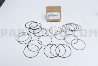 2304003HA1 RINGSET-PISTON